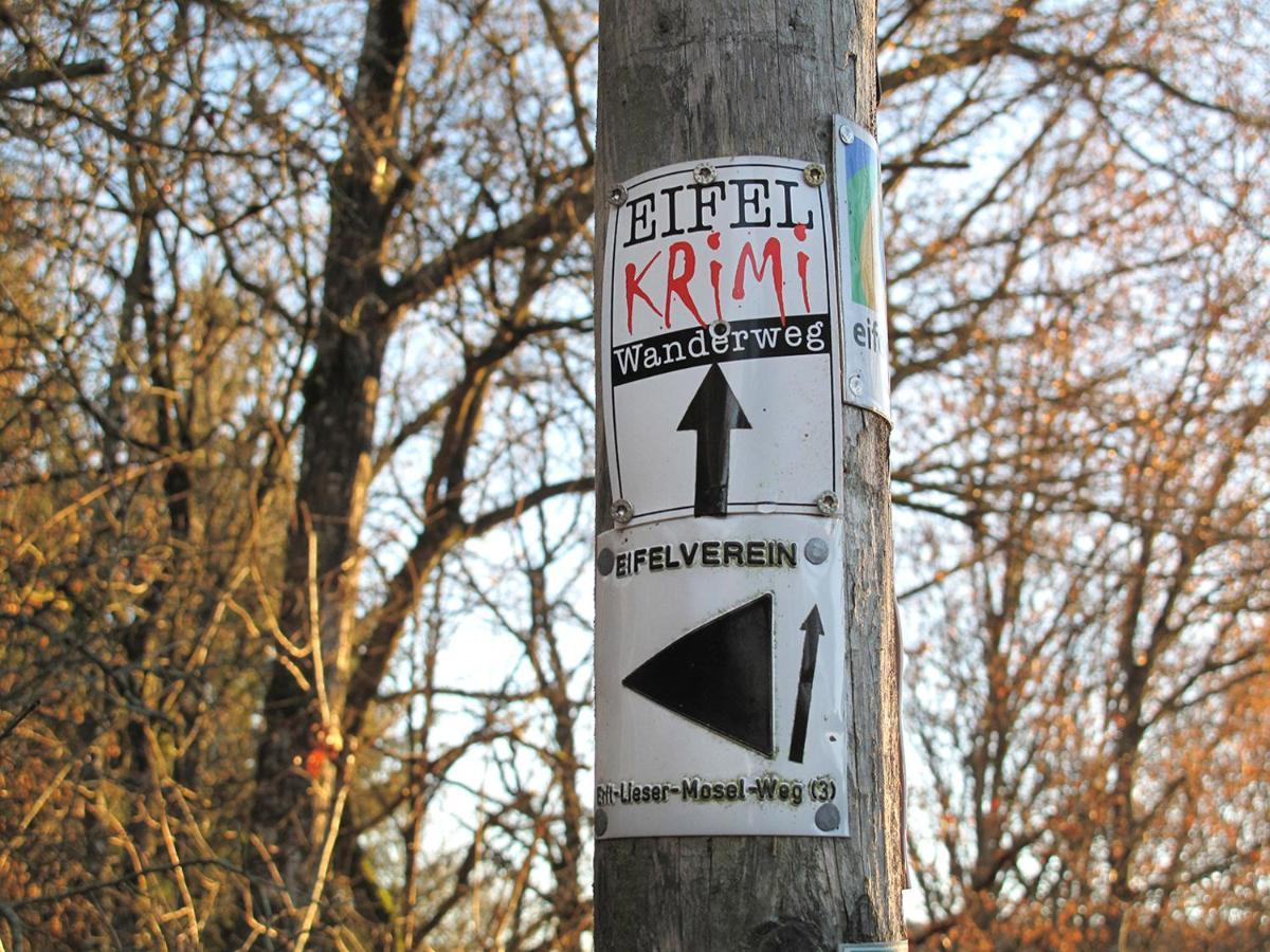 Appartamento Zum Goldenen Schaf II Ahrdorf Esterno foto