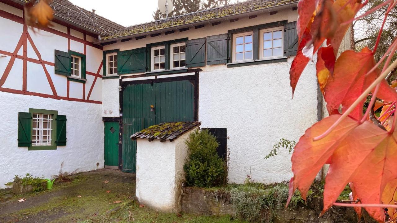 Appartamento Zum Goldenen Schaf II Ahrdorf Esterno foto