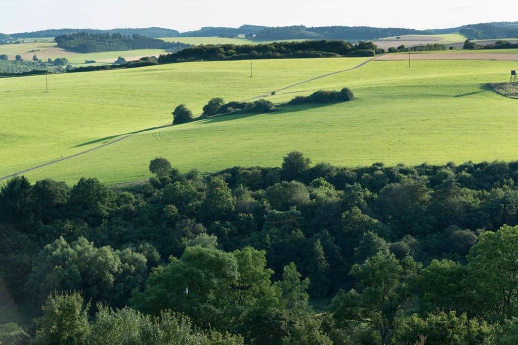 Appartamento Zum Goldenen Schaf II Ahrdorf Esterno foto