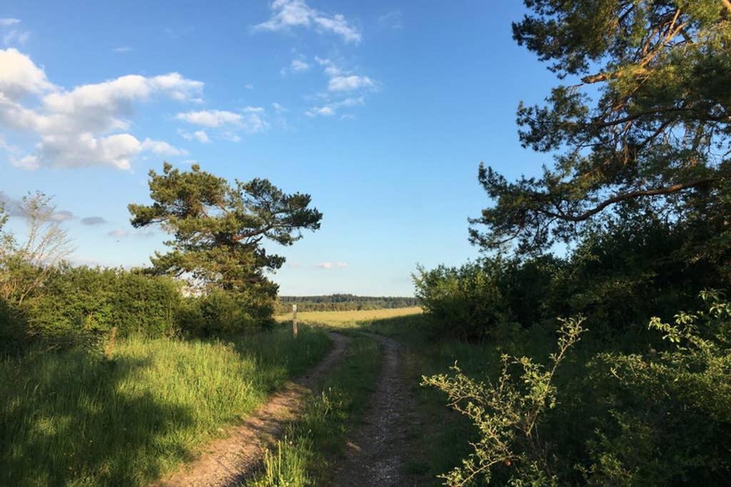 Appartamento Zum Goldenen Schaf II Ahrdorf Esterno foto