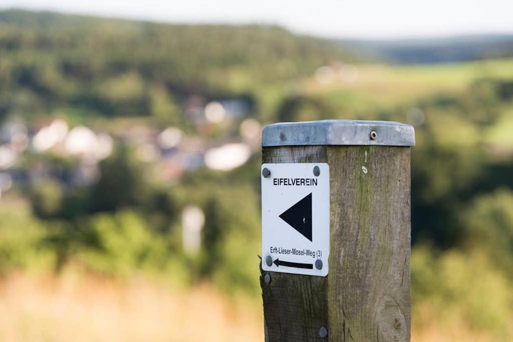 Appartamento Zum Goldenen Schaf II Ahrdorf Esterno foto