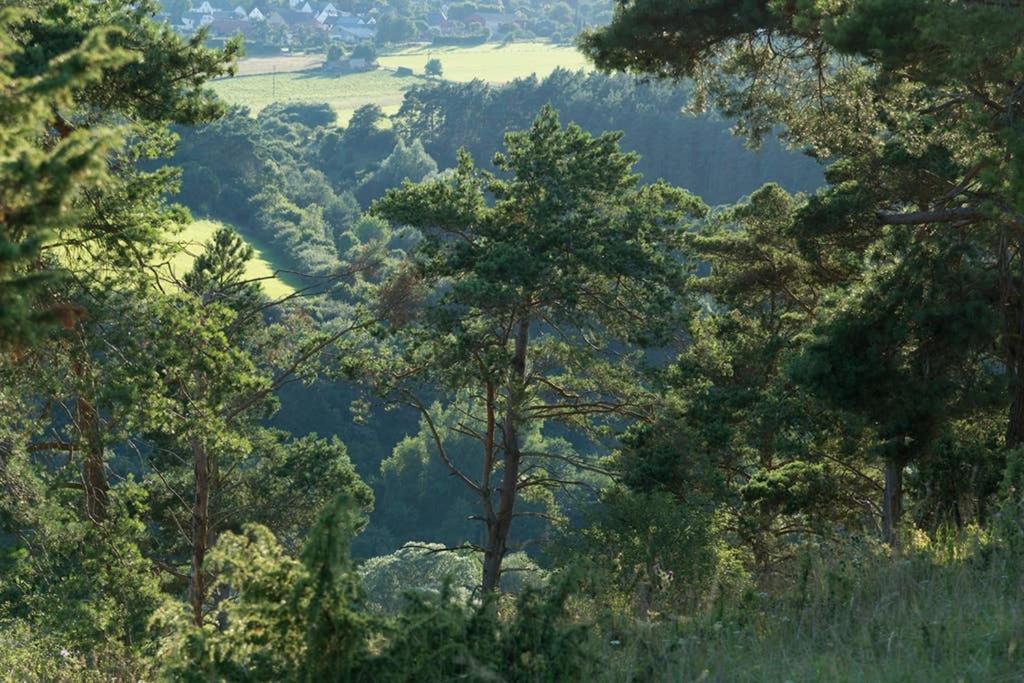 Appartamento Zum Goldenen Schaf II Ahrdorf Esterno foto
